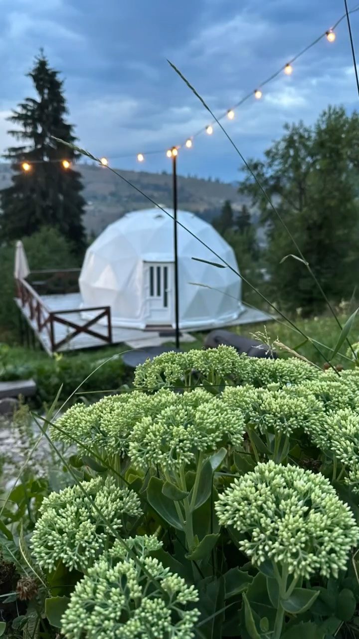 Купол II